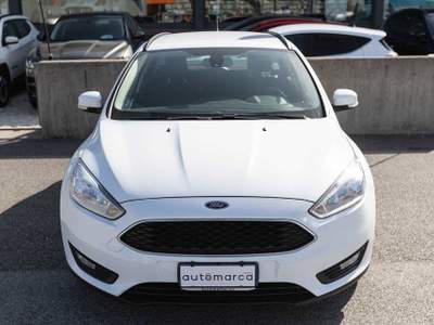 Ford Focus 1.5 TDCi 95 CV Start&Stop SW Business Bianco usata Silea