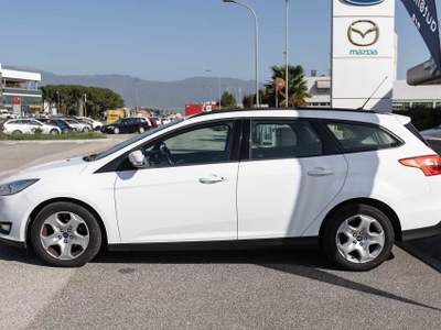 Ford Focus 1.5 TDCi 95 CV Start&Stop SW Business Bianco usata Silea