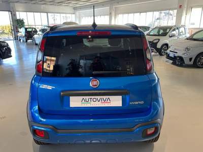 Fiat Panda 1.0 FireFly S&S Hybrid Blu/Azzurro usata Riva presso Chieri