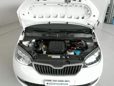 Skoda Citigo 1.0 60 CV 3 porte Active Bianco usata Occhiobello
