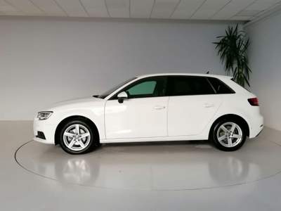 Audi A3 SPB 30 g-tron S tronic Business ACC XENON Bianco usata Occhiobello
