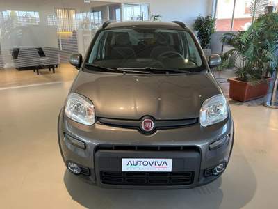 Fiat Panda 1.0 FireFly S&S Hybrid Grigio usata Riva presso Chieri