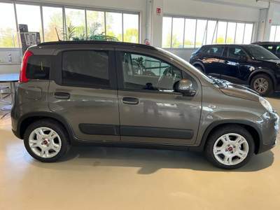 Fiat Panda 1.0 FireFly S&S Hybrid Grigio usata Riva presso Chieri