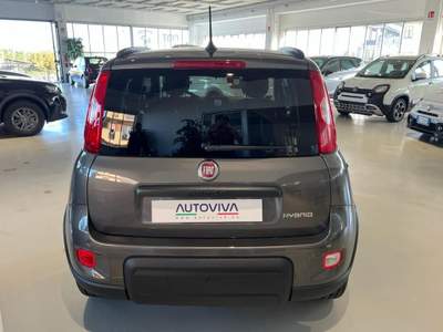 Fiat Panda 1.0 FireFly S&S Hybrid Grigio usata Riva presso Chieri