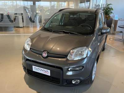 Fiat Panda 1.0 FireFly S&S Hybrid Grigio usata Riva presso Chieri