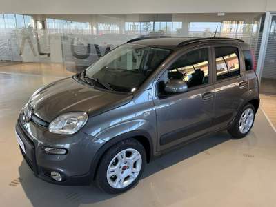 Fiat Panda 1.0 FireFly S&S Hybrid Grigio usata Riva presso Chieri