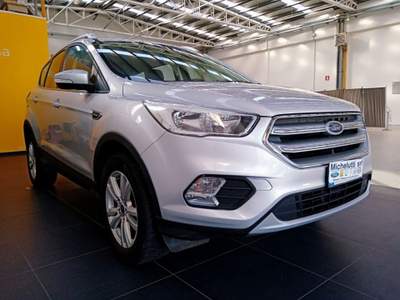 Ford Kuga 1.5 TDCI 120 CV S&S 2WD Business Argento usata Gemona del Friuli