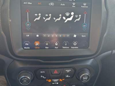 Jeep Renegade 1.6 Mjt 120 CV Longitude Bianco usata LAMEZIA TERME