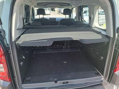 Citroen Berlingo PureTech 110 Stop&Start M Live Verde usata Castelnuovo Rangone