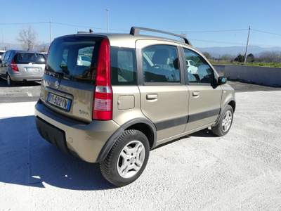 Fiat Panda Autovettura All Terrain usata San Cesareo