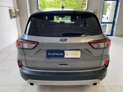 Ford Kuga 1.5 EcoBlue 120 CV 2WD Titanium Grigio usata Concordia Sagittaria