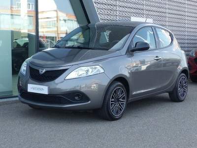 Lancia Ypsilon 1.2 69 CV 5 porte S&S Gold NEOPATENTATI Grigio usata Modena