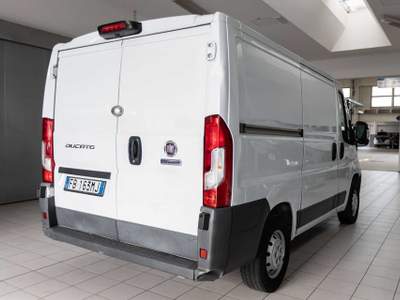 Fiat Ducato 30 2.0 MJT PC + IVA Bianco usata Silea