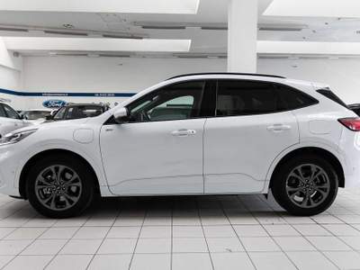 Ford Kuga 2.5 Plug In Hybrid 225 CV CVT 2WD ST-Line X PHEV Bianco usata Silea
