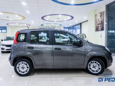Fiat Panda 1.0 FireFly S&S Hybrid Grigio usata Matera