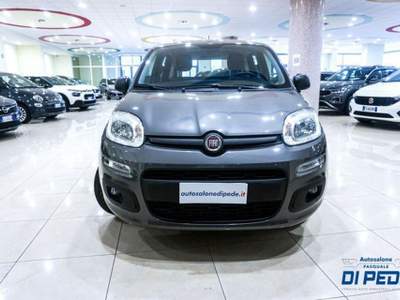 Fiat Panda 1.0 FireFly S&S Hybrid Grigio usata Matera