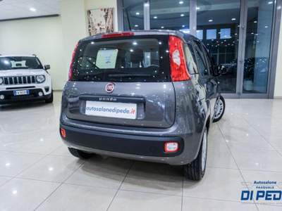 Fiat Panda 1.0 FireFly S&S Hybrid Grigio usata Matera