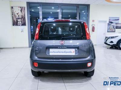 Fiat Panda 1.0 FireFly S&S Hybrid Grigio usata Matera
