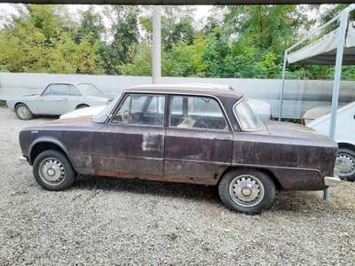 Alfa Romeo Giulia 1600 Biscione Lilla usata RONCADE