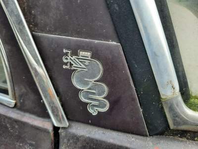 Alfa Romeo Giulia 1600 Biscione Lilla usata RONCADE