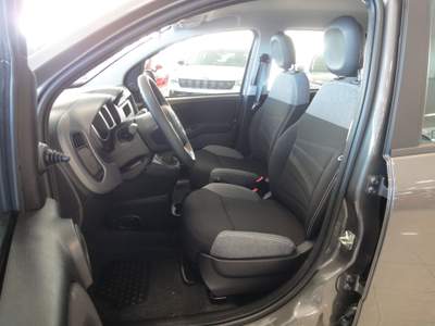 Fiat Panda FIAT PANDA 1.0 70CV Grigio usata Catanzaro