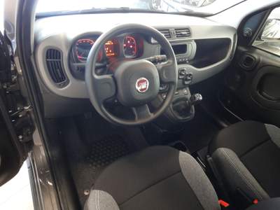 Fiat Panda FIAT PANDA 1.0 70CV Grigio usata Catanzaro