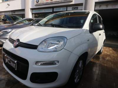Fiat Panda 1.3 MJT 95 CV S&S Easy Bianco usata Marsala
