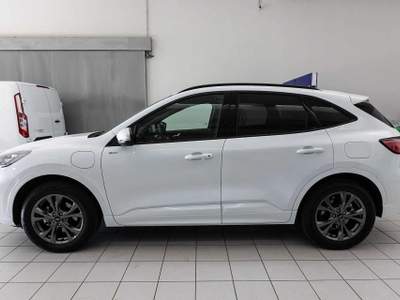Ford Kuga 2.5 Plug In Hybrid 225 CV CVT 2WD ST-Line X PHEV Bianco usata Silea