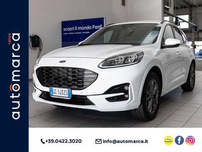 Ford Kuga 2.5 Plug In Hybrid 225 CV CVT 2WD ST-Line X PHEV Bianco usata Silea