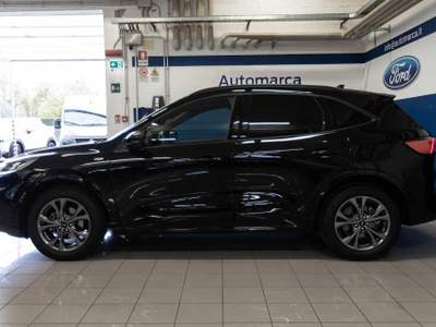Ford Kuga 2.5 Full Hybrid 190 CV CVT 2WD ST-Line Nero usata Silea