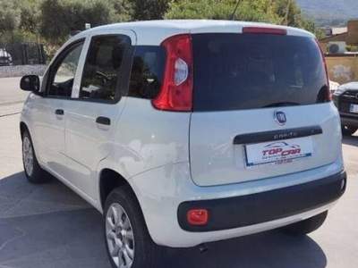Fiat Panda 0.9 t.air t. natural power Easy 80cv my19 Bianco usata Gioia Sannitica