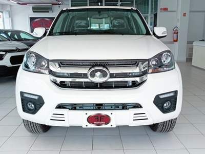Great Wall Steed 2.4 Ecodual 4WD PC Work Bianco usata Pisa