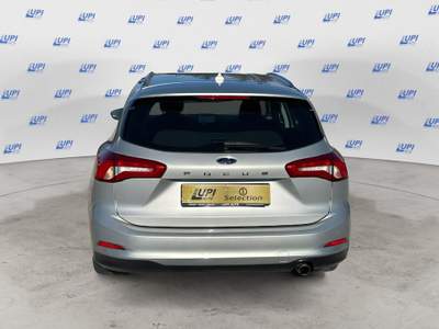 Ford Focus 1.0 EcoBoost 125cv S&S Business ST Line Argento usata Pistoia