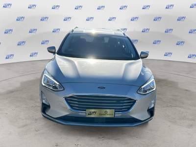 Ford Focus 1.0 EcoBoost 125cv S&S Business ST Line Argento usata Pistoia