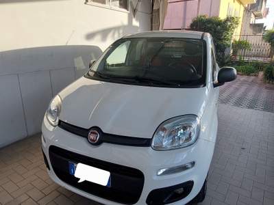 Fiat Panda PANDA van Bianco usata Striano