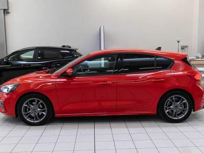 Ford Focus 1.0 EcoBoost Hybrid 125 CV 5p. ST-Line Rosso usata Silea