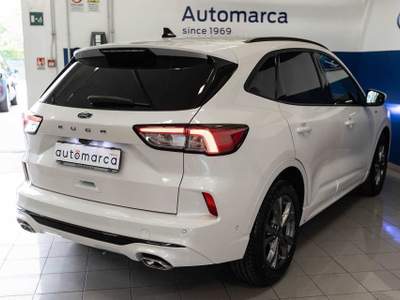 Ford Kuga 1.5 EcoBoost 150 CV 2WD ST-Line X Bianco usata Silea