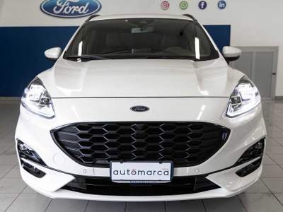 Ford Kuga 1.5 EcoBoost 150 CV 2WD ST-Line X Bianco usata Silea