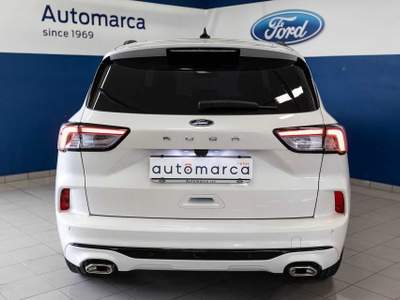 Ford Kuga 1.5 EcoBoost 150 CV 2WD ST-Line X Bianco usata Silea