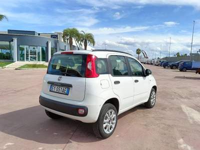 Fiat Panda 0.9 EASY  Bianco usata Surano