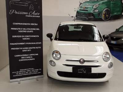 Fiat 500 1.2 gpl easy power cult  Esente Bollo Bianco usata Collegno