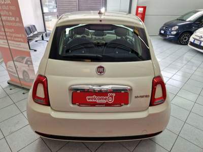 Fiat 500 1.0 hybrid Cult 70cv Bianco usata Sassari