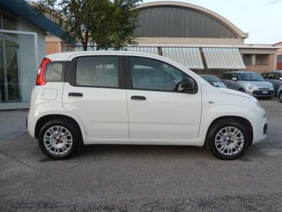 Fiat Panda Usato come Nuovo! Garantito!!! Bianco usata Forlì