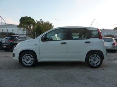 Fiat Panda Usato come Nuovo! Garantito!!! Bianco usata Forlì