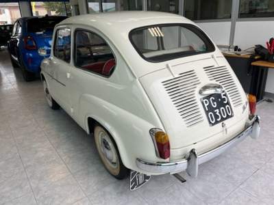 Fiat 600 100 D Bianco usata Monte Porzio