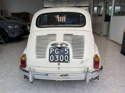 Fiat 600 100 D Bianco usata Monte Porzio