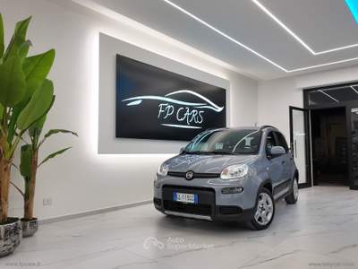 Fiat Panda Panda 1.0 FireFly S&S Hybrid City Life Grigio usata Cerignola