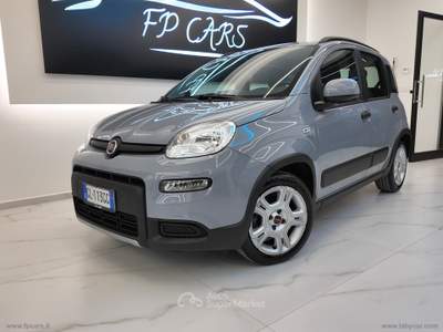 Fiat Panda Panda 1.0 FireFly S&S Hybrid City Life Grigio usata Cerignola