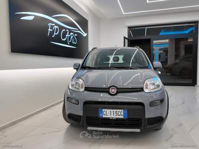 Fiat Panda Panda 1.0 FireFly S&S Hybrid City Life Grigio usata Cerignola