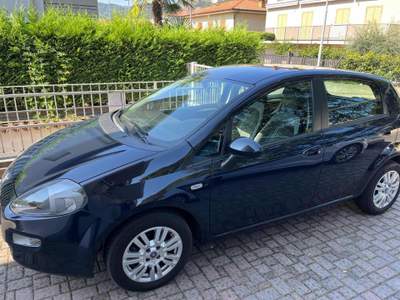 Fiat Punto 1.3 MJT II 75 CV 5 porte Lounge Blu/Azzurro usata Capriolo